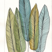 feather or leaf watercolor drawing.jpg